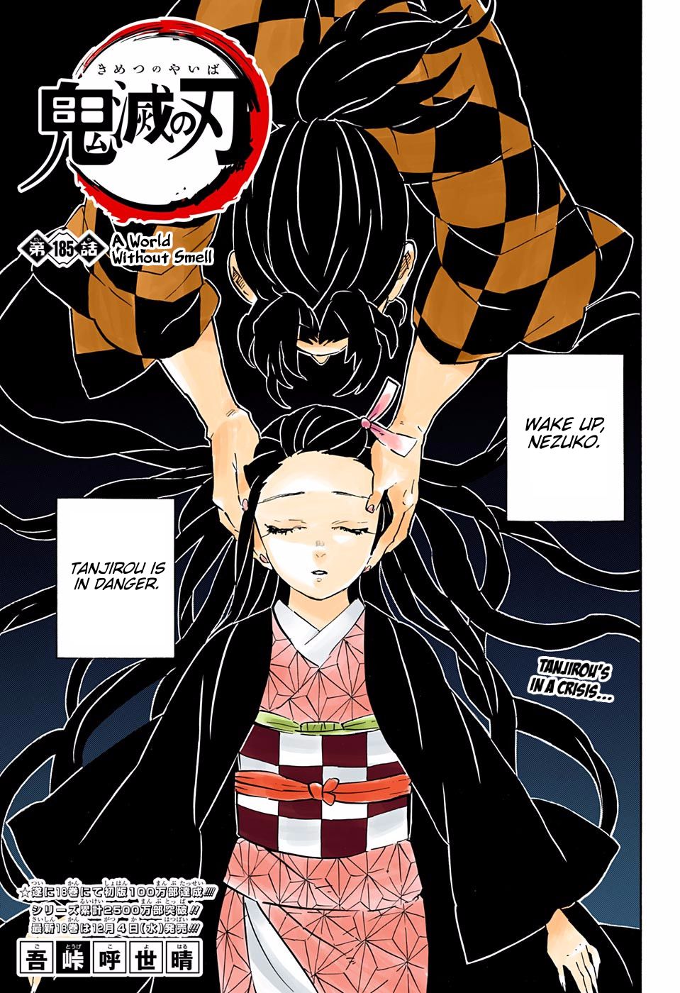 Read Demon Slayer  Kimetsu no Yaiba Manga Online