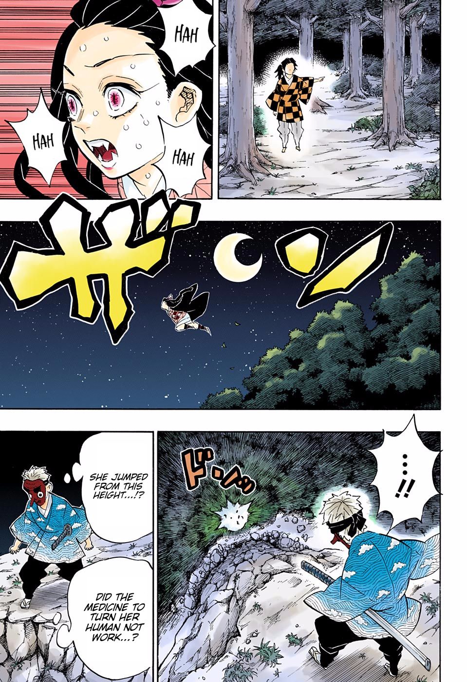 Read Demon Slayer  Kimetsu no Yaiba Manga Online