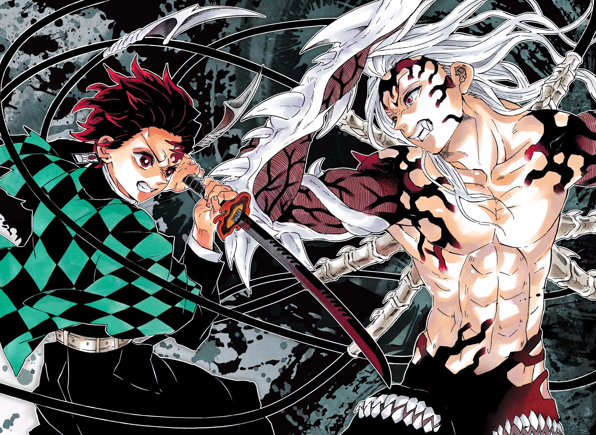Read Demon Slayer  Kimetsu no Yaiba Manga Online