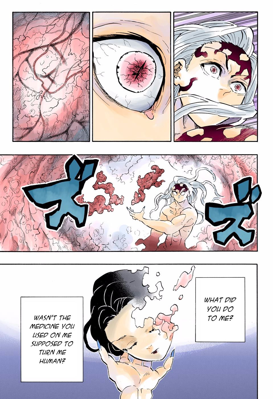 Read Demon Slayer  Kimetsu no Yaiba Manga Online