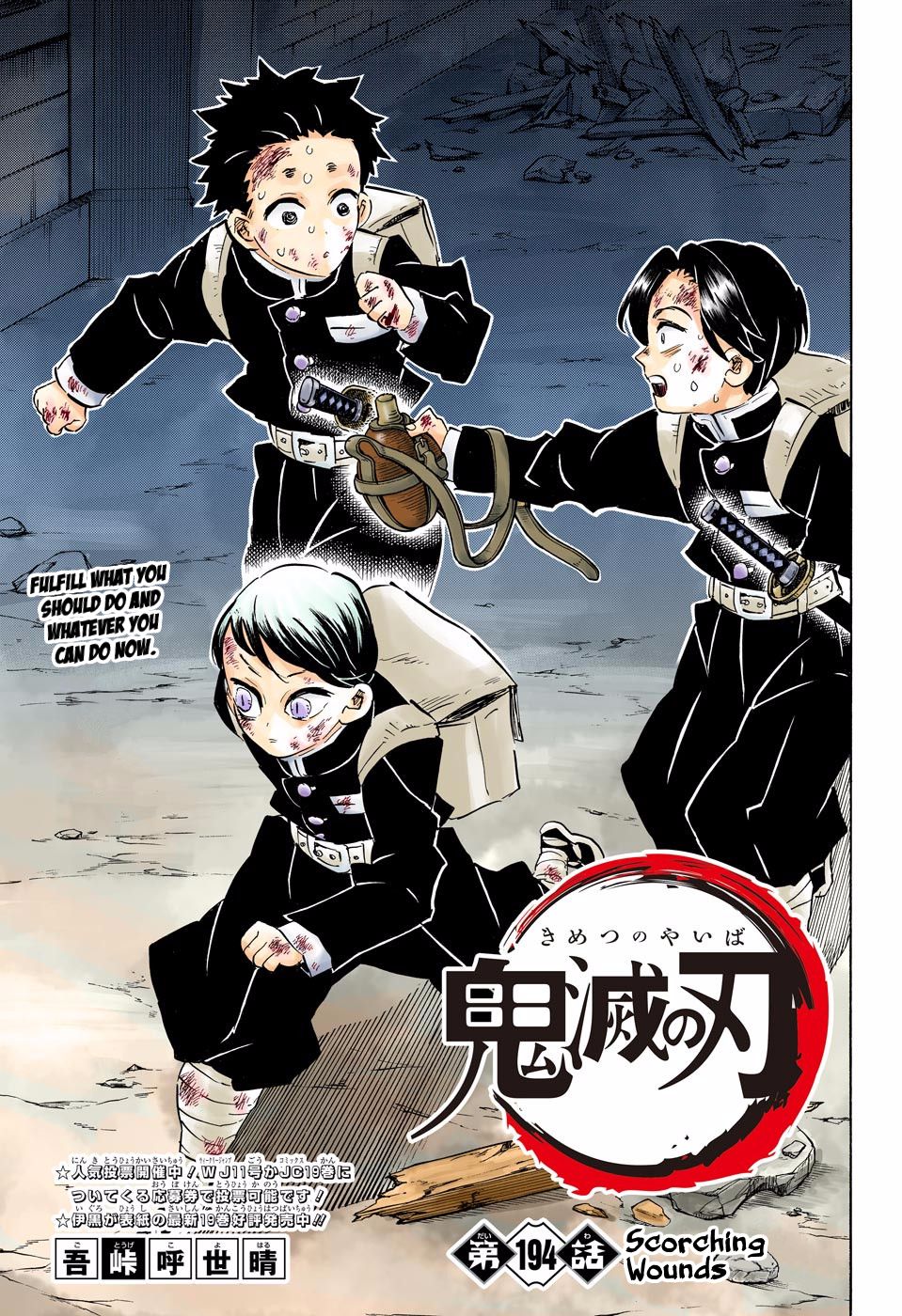 Read Demon Slayer  Kimetsu no Yaiba Manga Online