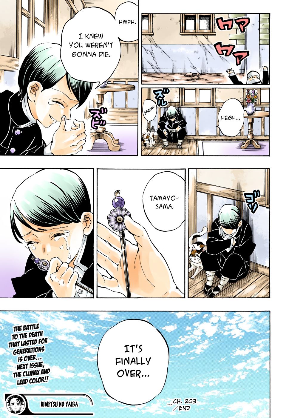 Read Demon Slayer  Kimetsu no Yaiba Manga Online