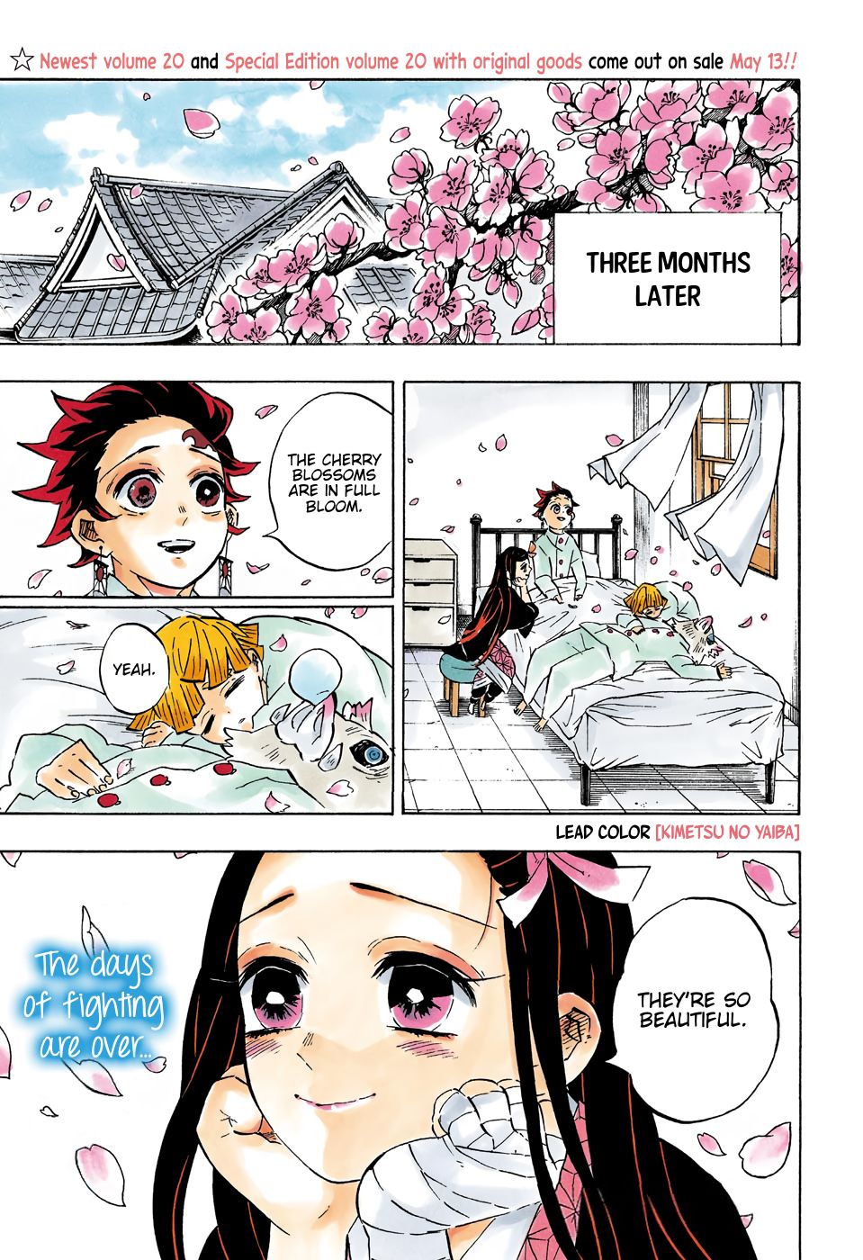 Read Demon Slayer  Kimetsu no Yaiba Manga Online