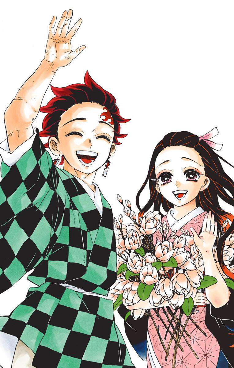 Read Demon Slayer  Kimetsu no Yaiba Manga Online