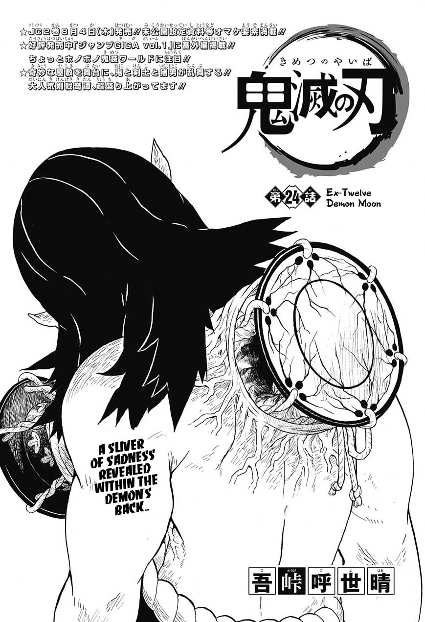 Read Demon Slayer  Kimetsu no Yaiba Manga Online