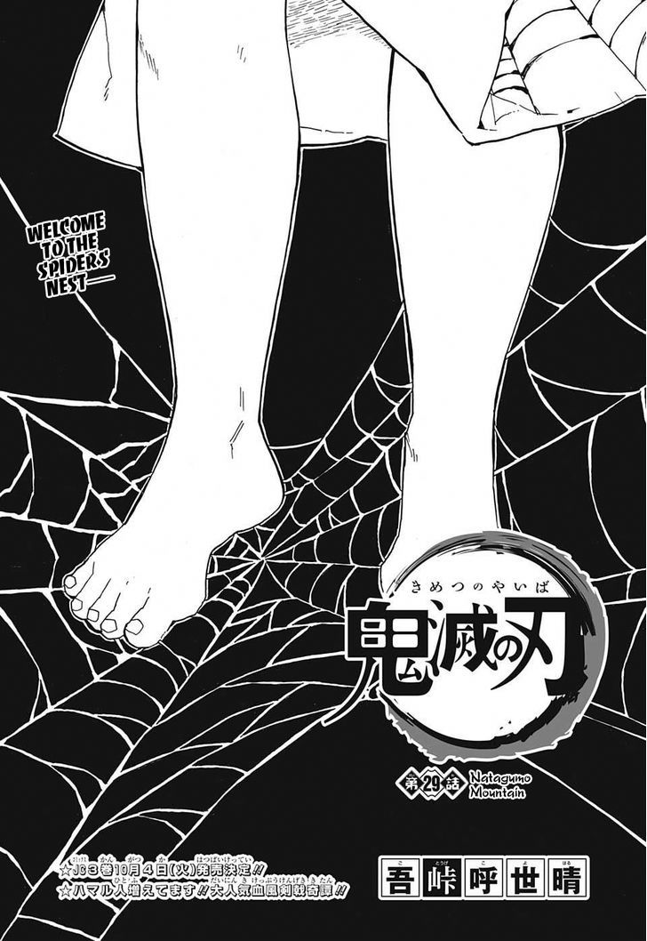 Read Demon Slayer  Kimetsu no Yaiba Manga Online