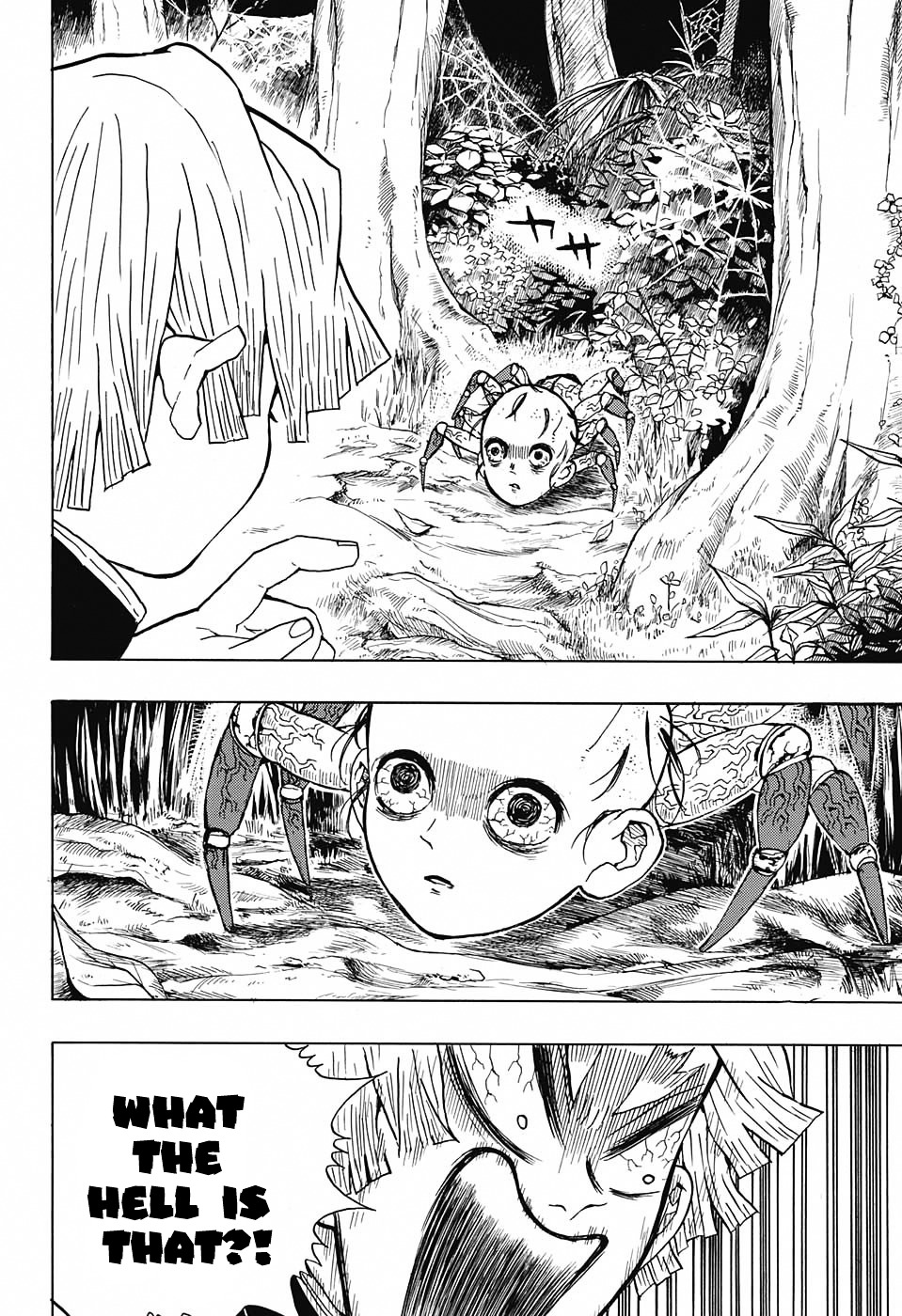 Read Demon Slayer  Kimetsu no Yaiba Manga Online
