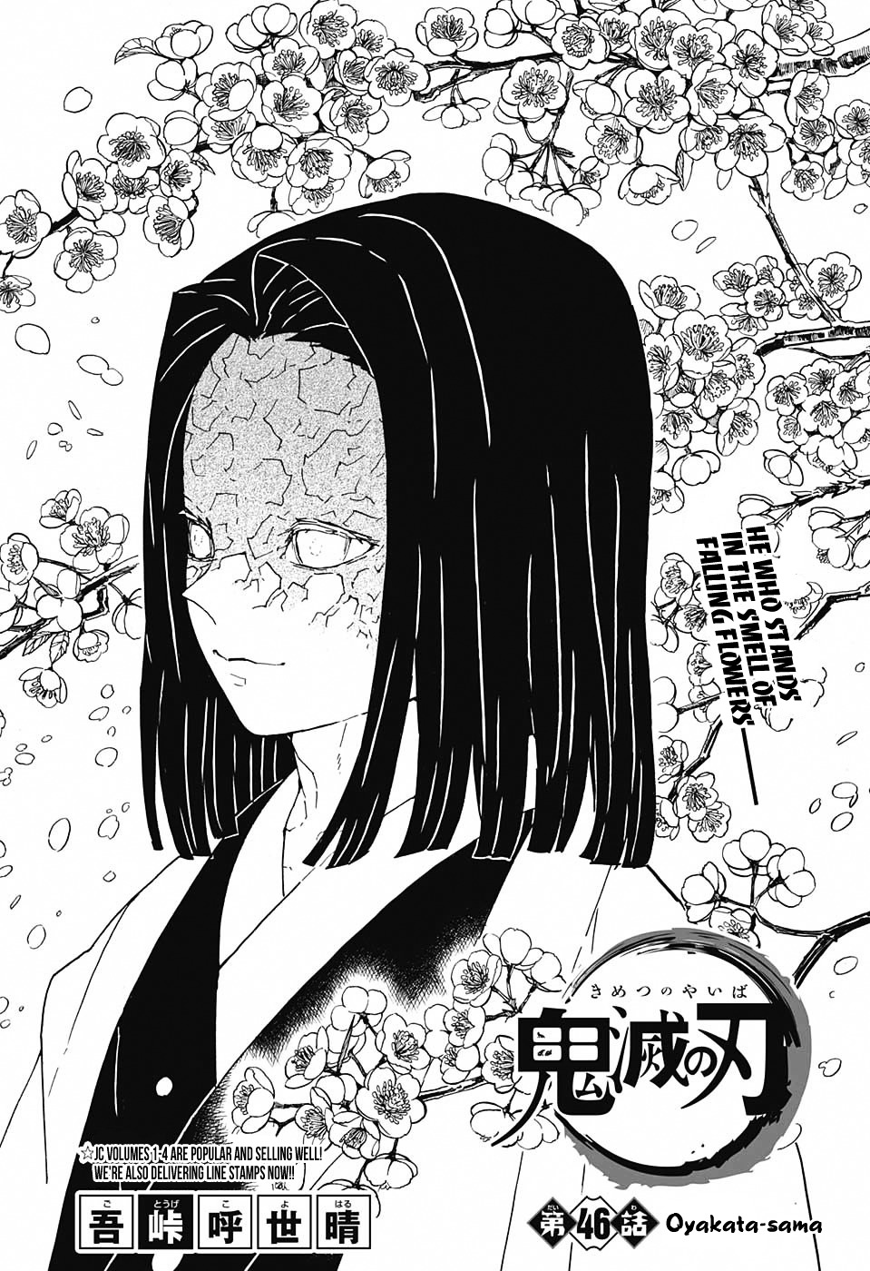 Read Demon Slayer  Kimetsu no Yaiba Manga Online