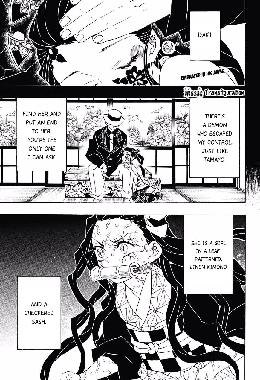 Read Demon Slayer  Kimetsu no Yaiba Manga Online