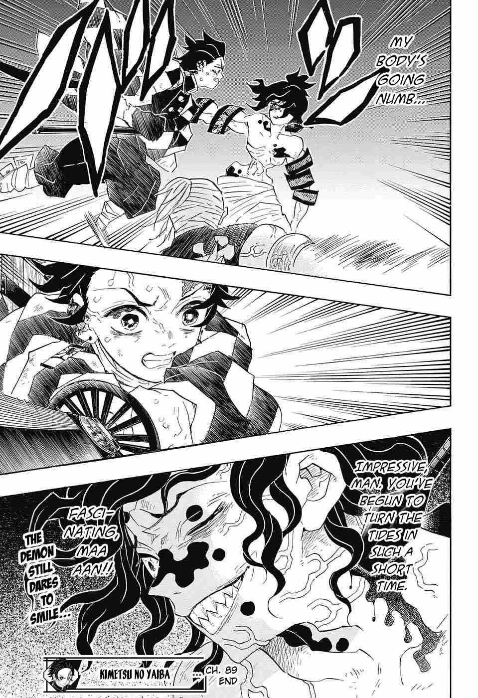 Read Demon Slayer  Kimetsu no Yaiba Manga Online
