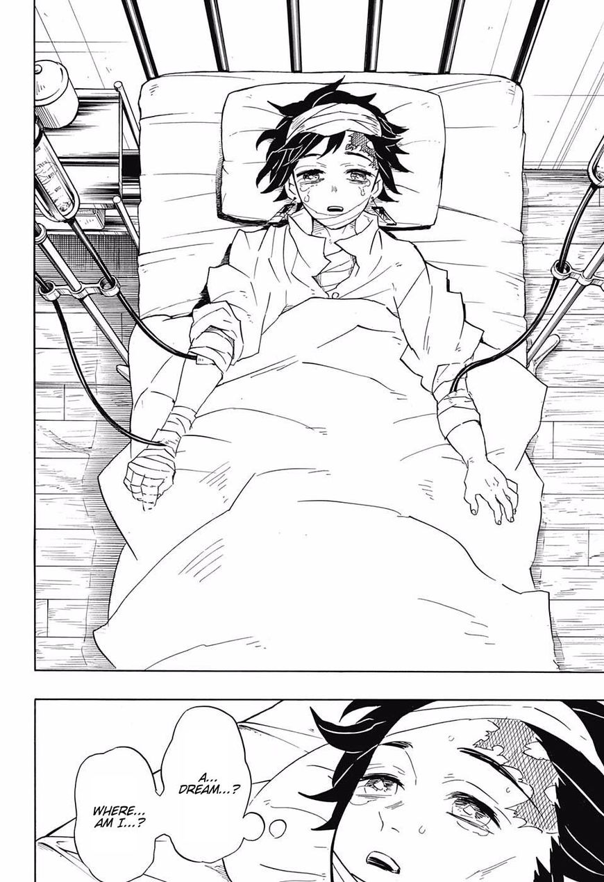 Read Demon Slayer  Kimetsu no Yaiba Manga Online