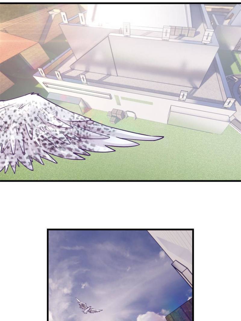 Read Dreamland Adventure Manga Online