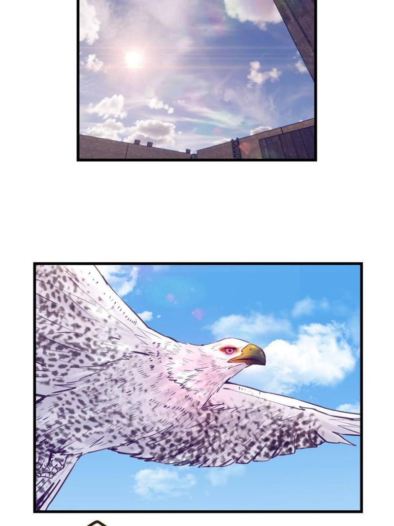 Read Dreamland Adventure Manga Online