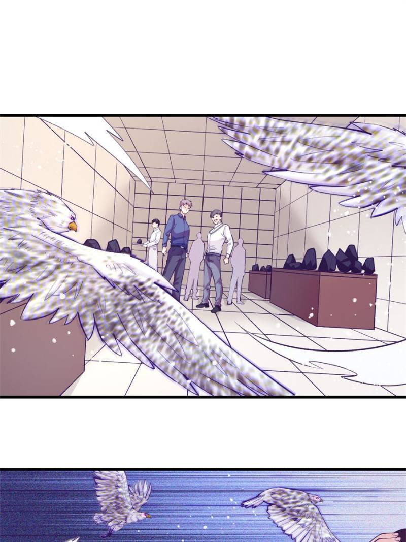 Read Dreamland Adventure Manga Online