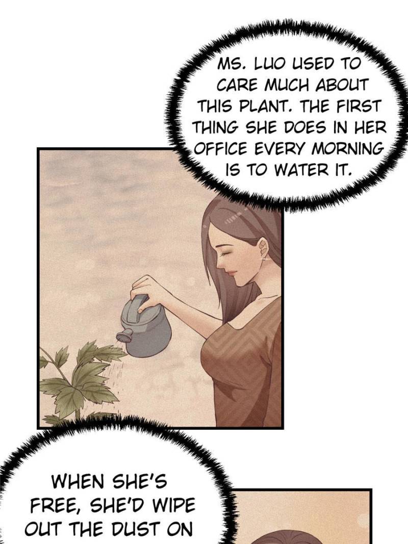 Read Dreamland Adventure Manga Online