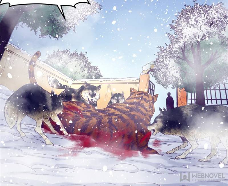 Read Dreamland Adventure Manga Online