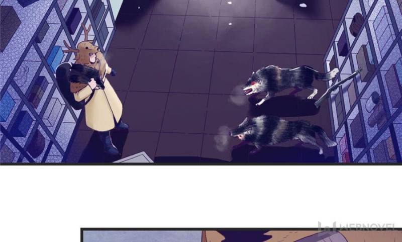 Read Dreamland Adventure Manga Online
