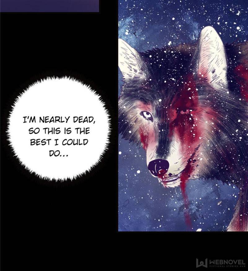 Read Dreamland Adventure Manga Online