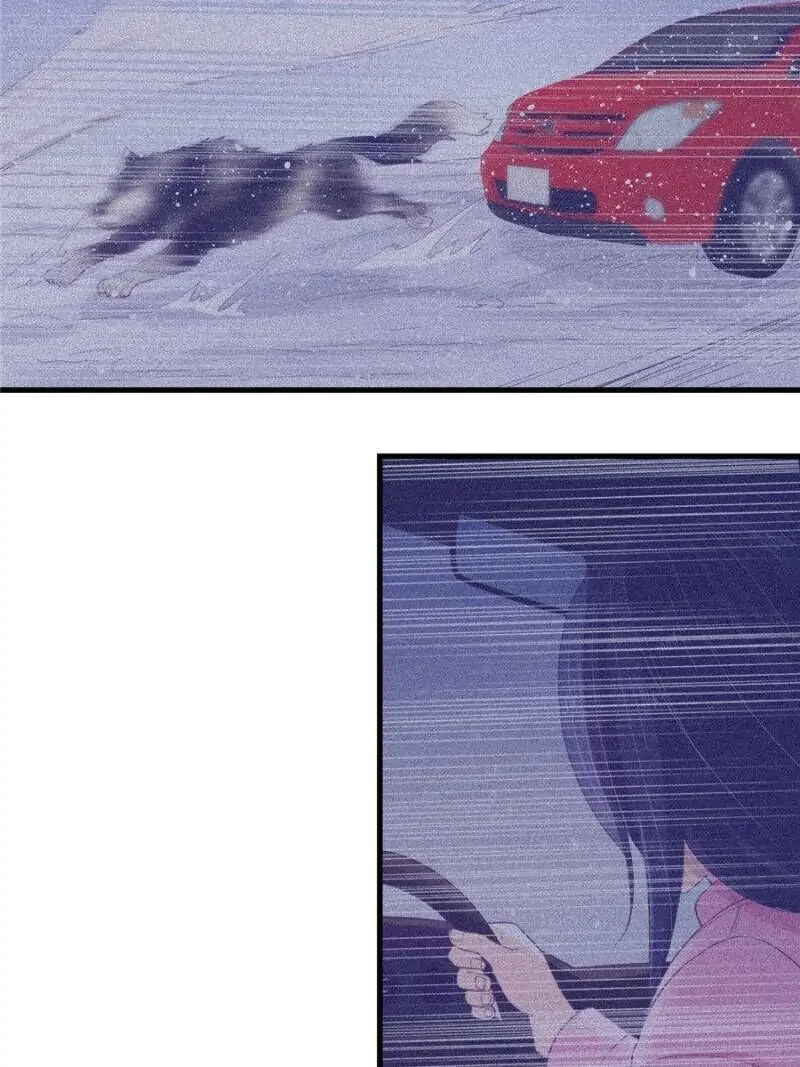 Read Dreamland Adventure Manga Online