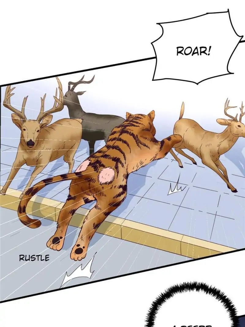 Read Dreamland Adventure Manga Online