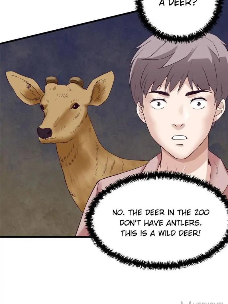 Read Dreamland Adventure Manga Online