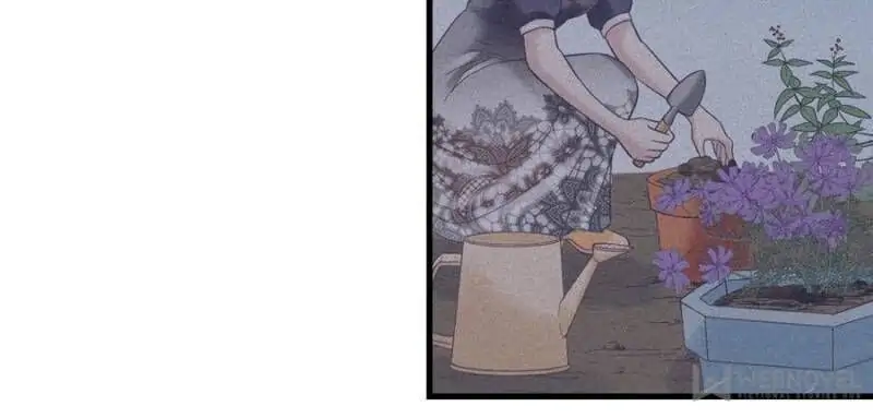 Read Dreamland Adventure Manga Online