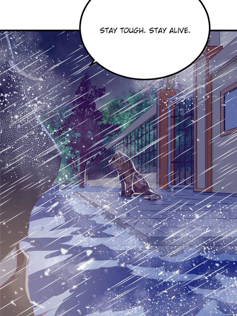 Read Dreamland Adventure Manga Online