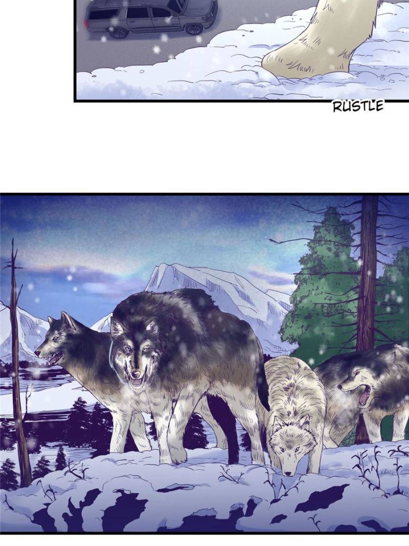 Read Dreamland Adventure Manga Online