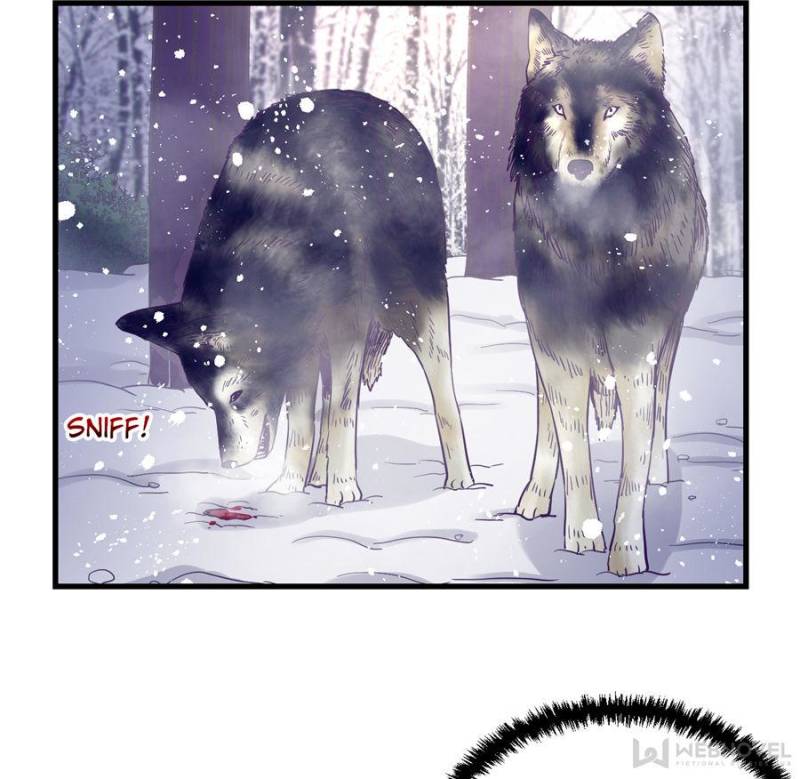 Read Dreamland Adventure Manga Online