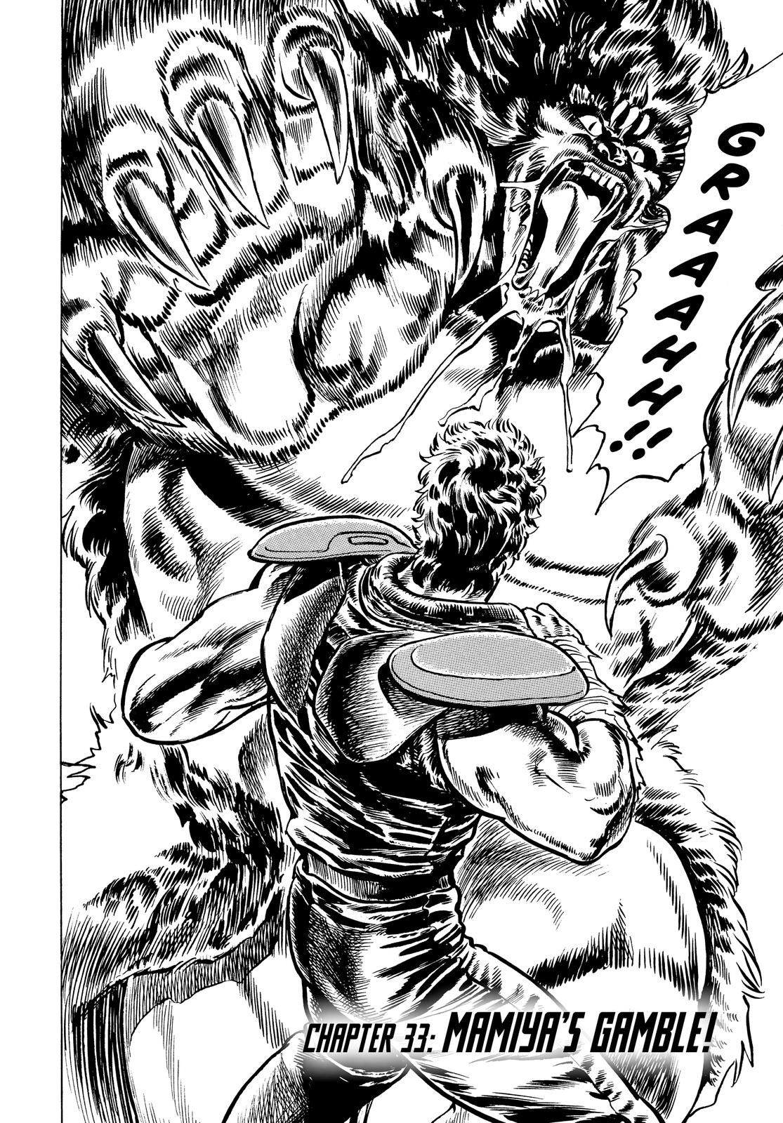 Read Fist of the North Star Manga Online