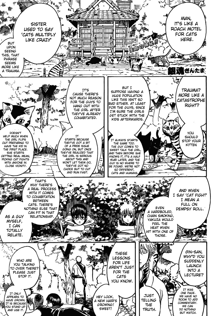 Read Gintama Manga Online