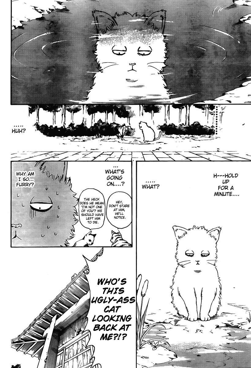 Read Gintama Manga Online
