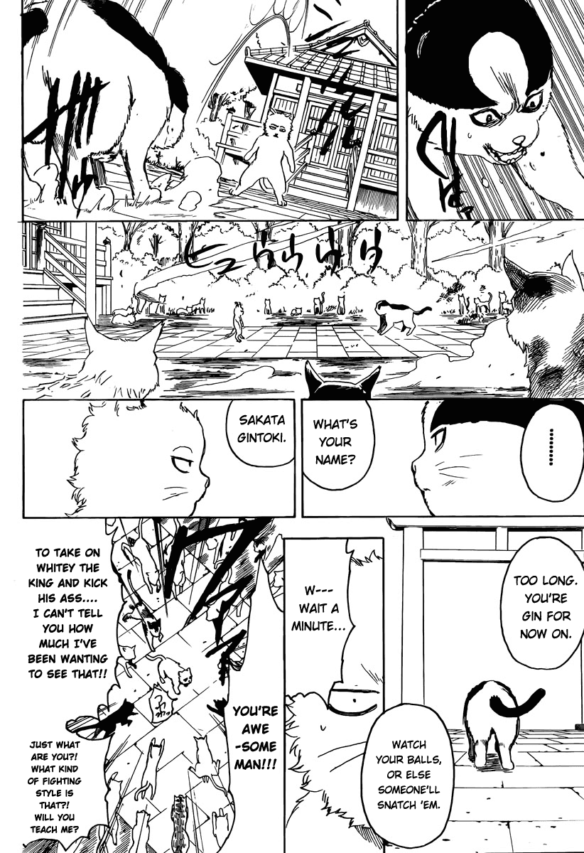 Read Gintama Manga Online