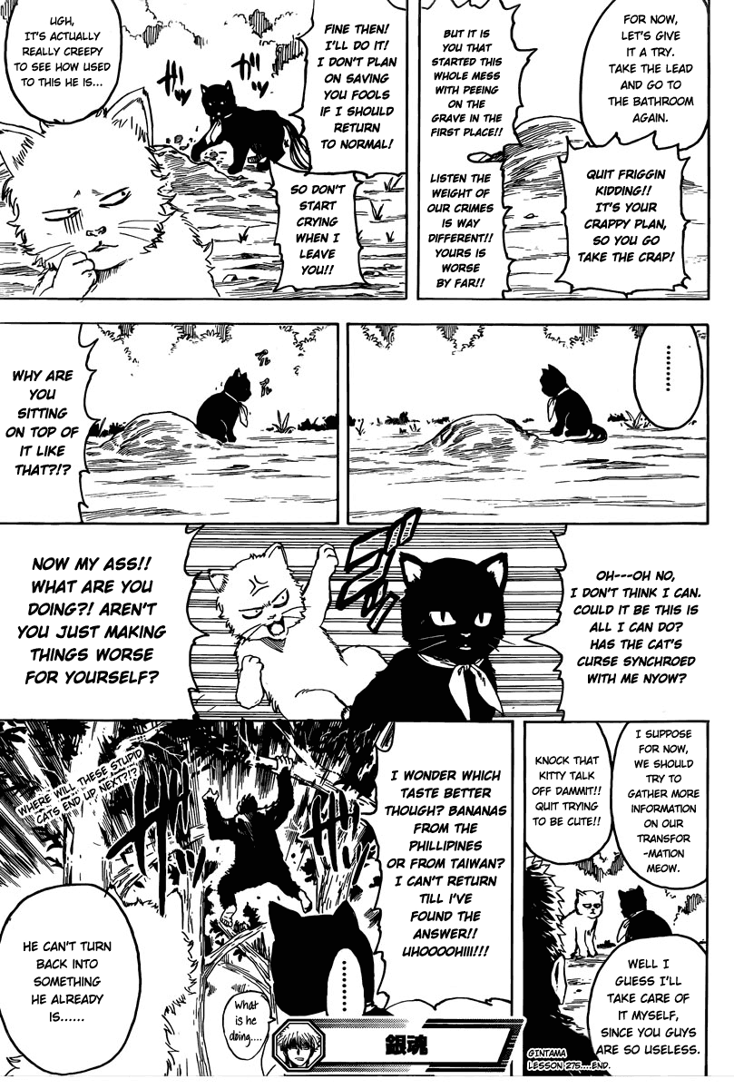 Read Gintama Manga Online