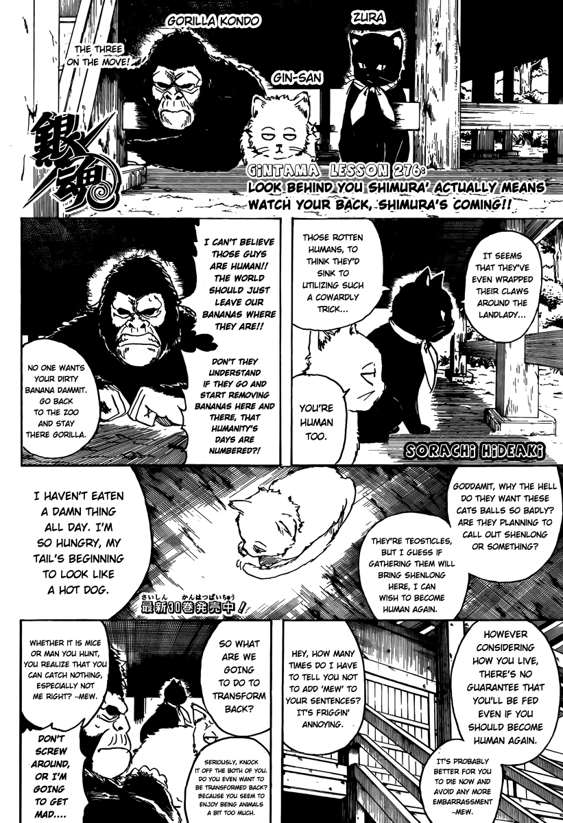 Read Gintama Manga Online