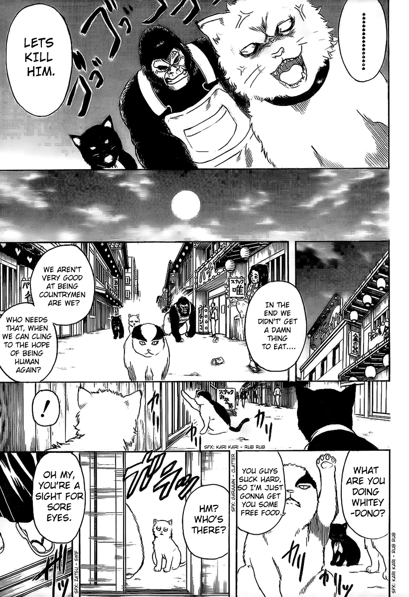Read Gintama Manga Online