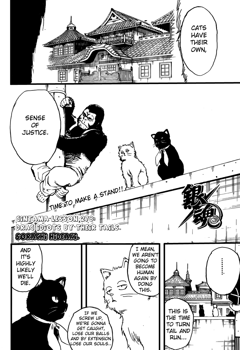 Read Gintama Manga Online