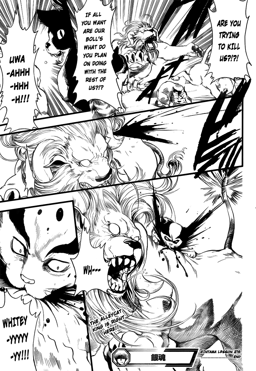 Read Gintama Manga Online