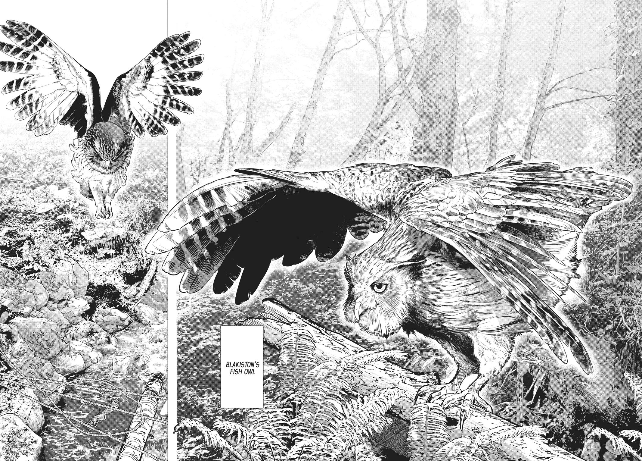 Read Golden Kamuy Manga Online