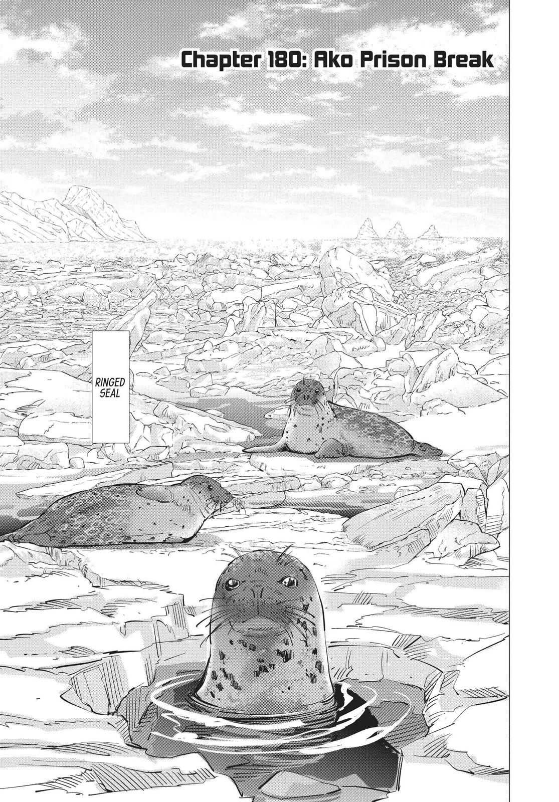 Read Golden Kamuy Manga Online