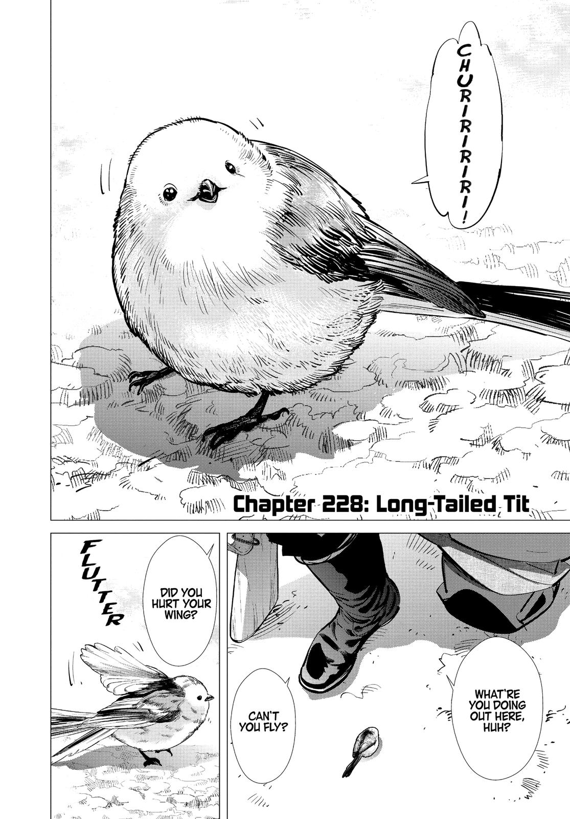 Read Golden Kamuy Manga Online