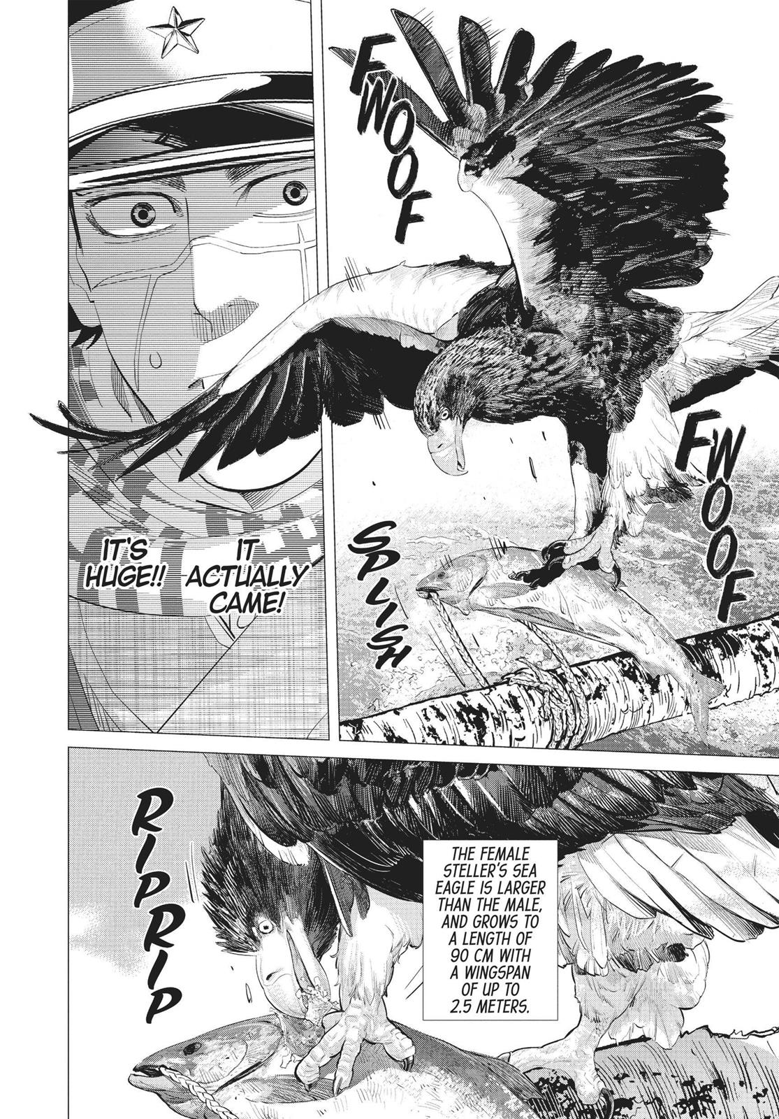 Read Golden Kamuy Manga Online
