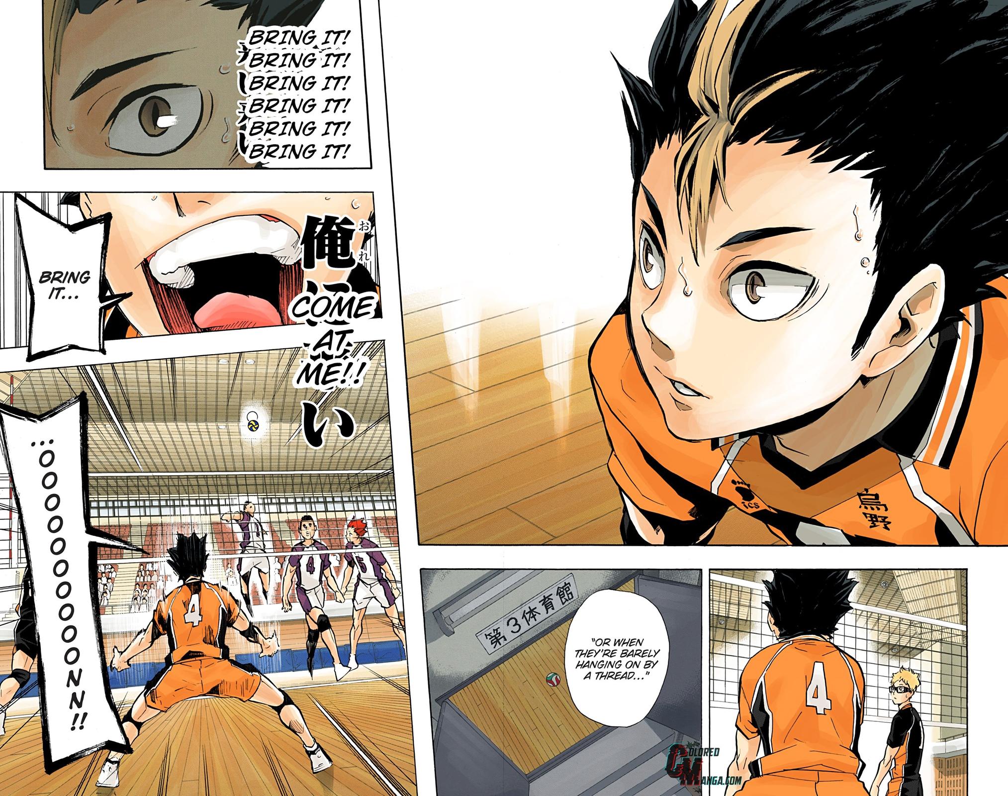 Read Haikyu!! (Color) Manga Online