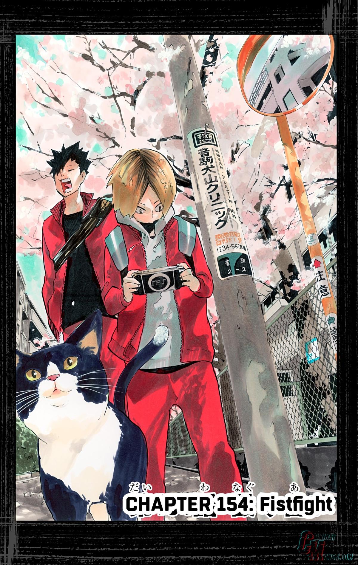 Read Haikyu!! (Color) Manga Online