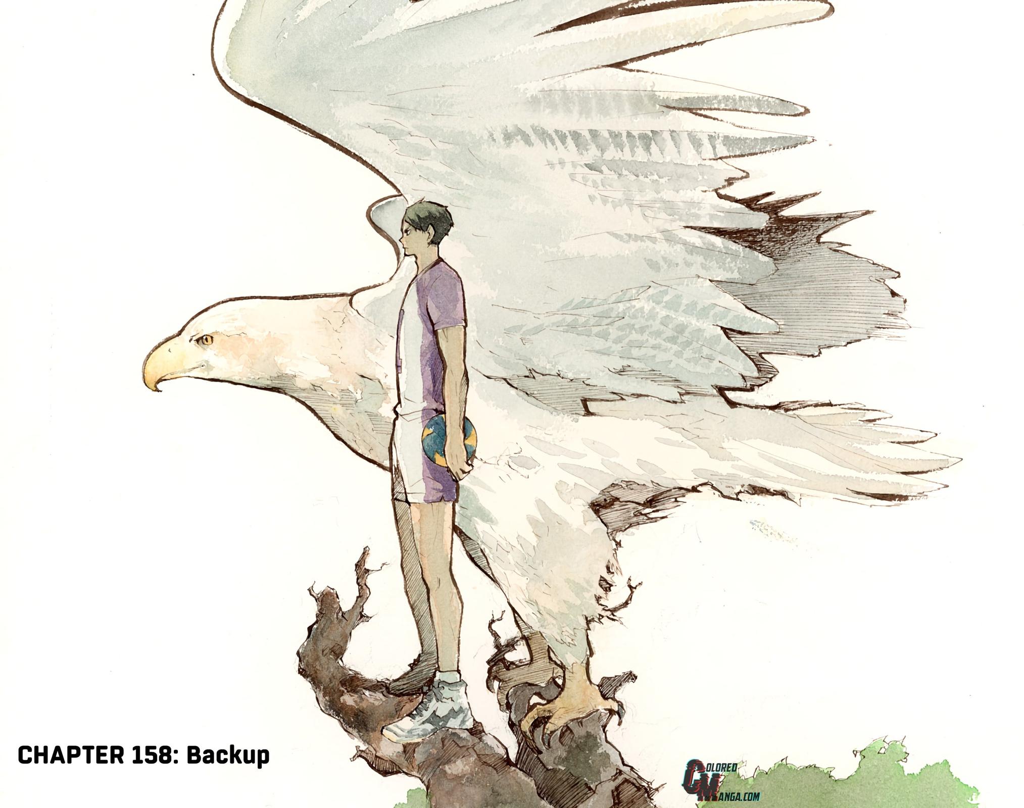 Read Haikyu!! (Color) Manga Online