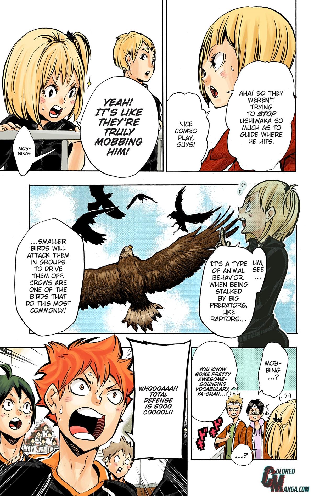 Read Haikyu!! (Color) Manga Online