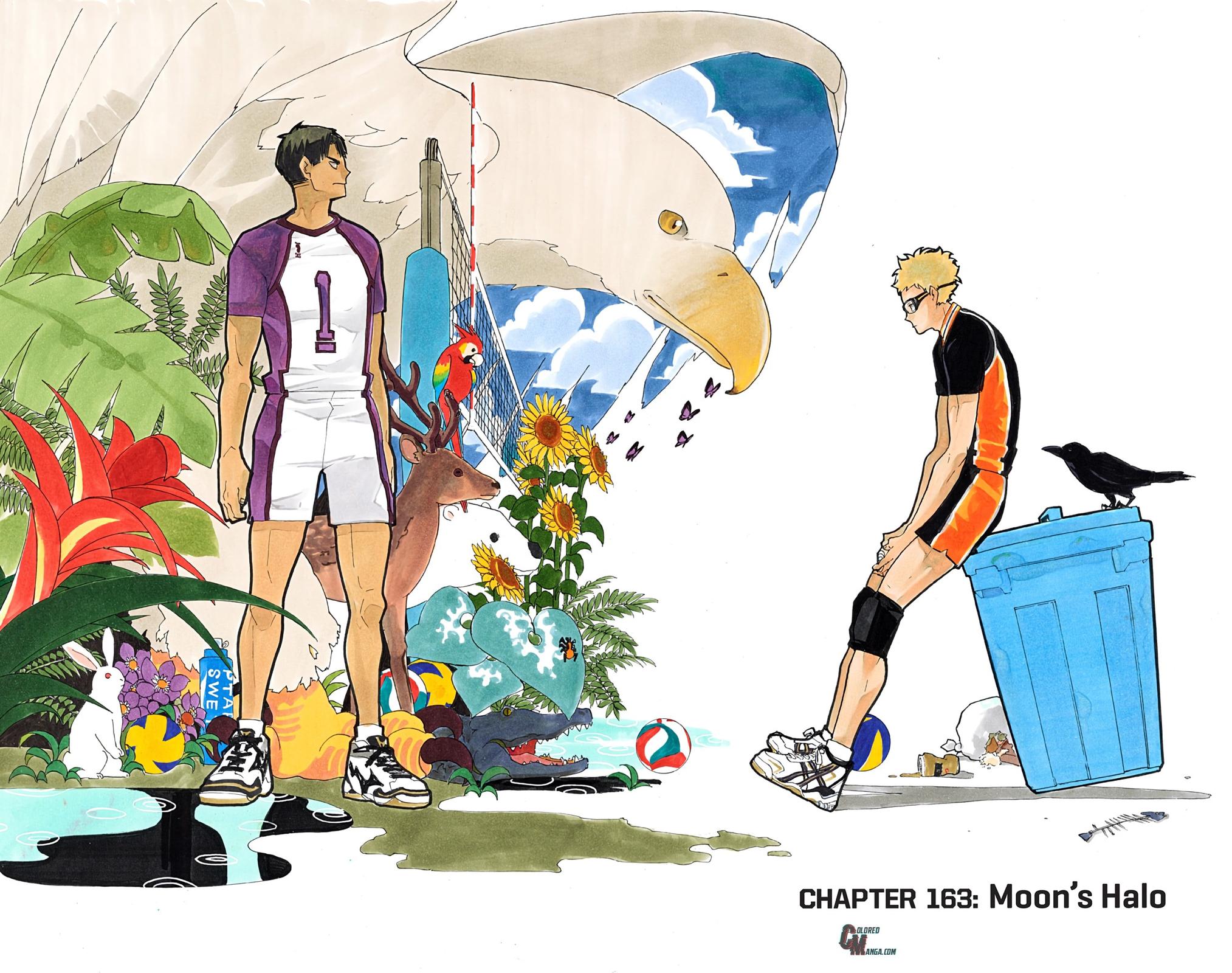 Read Haikyu!! (Color) Manga Online
