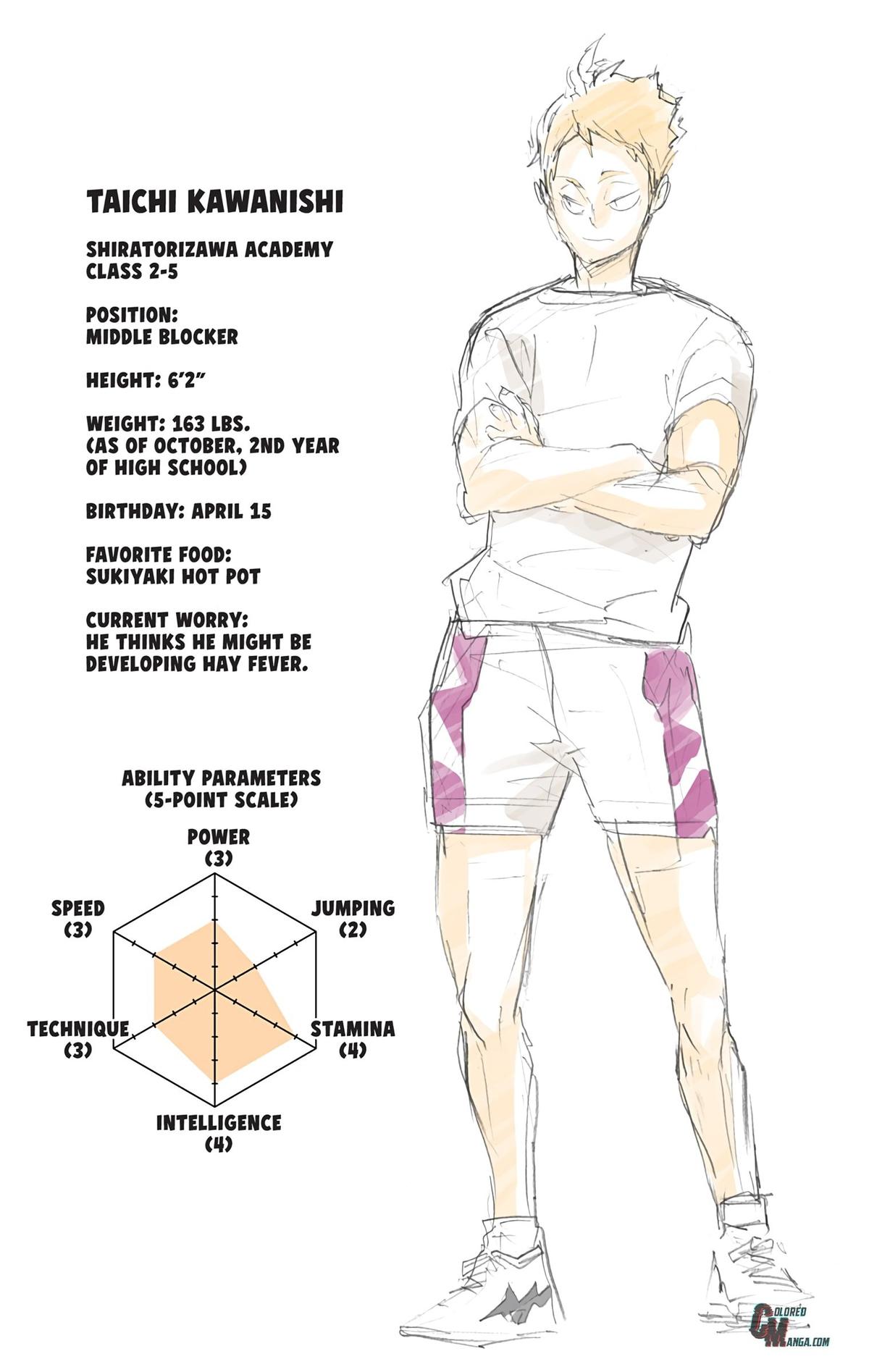 Read Haikyu!! (Color) Manga Online