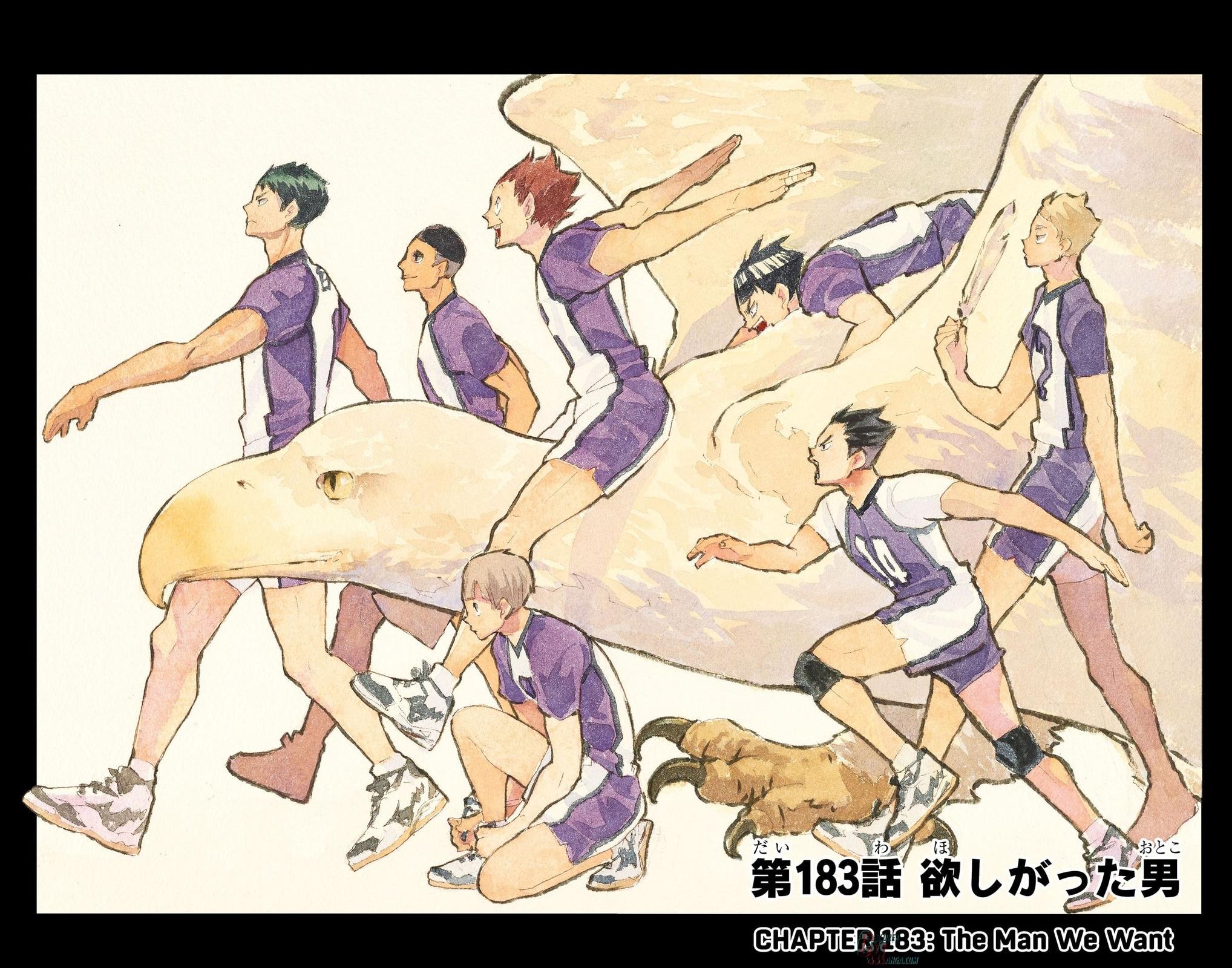 Read Haikyu!! (Color) Manga Online
