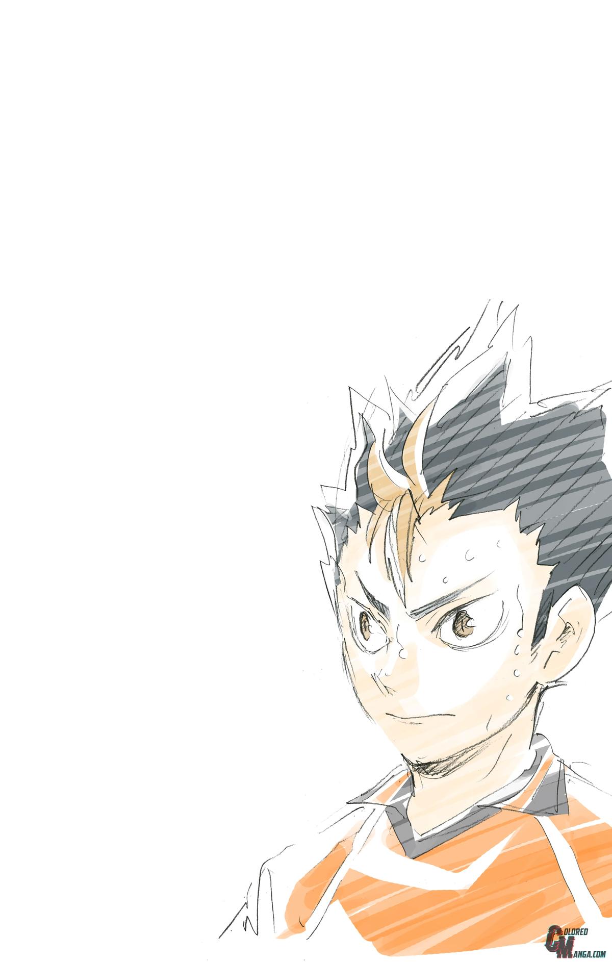 Read Haikyu!! (Color) Manga Online